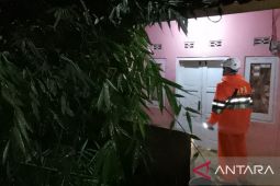 Tim gabungan pendampingan 22 keluarga korban angin puting beliung di Sumedang