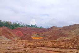 AMS mendesak pemerintah tindak tambang nikel tidak taat aturan