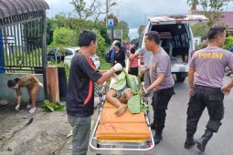 Kecelakaan tragis, pengendara mobil ngantuk, anak sembilan tahun tewas