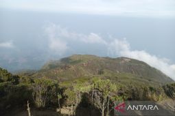 TNGC catat 4.888 orang pendakian Gunung Ciremai selama libur Lebaran