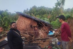 Tujuh rumah di Bandar Negeri Suoh Lampung Barat dirusak gajah liar