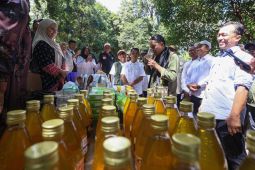 Menhut: Perhutanan sosial dan wisata alam Jaboi Sabang perlu dipromosikan