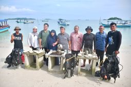 DPD RI - Garude Diving Club tanam terumbu karang di perairan Keciput Belitung