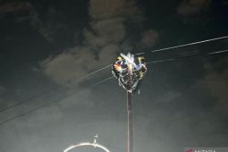 PLN pulihkan jaringan  listrik pasca-hujan badai di Palembang