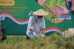 Bengkayang panen raya di lahan 250 hektare mendukung swasembada pangan