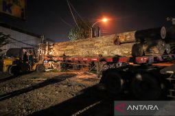 Truk kayu terobos rel, asisten masinis meninggal