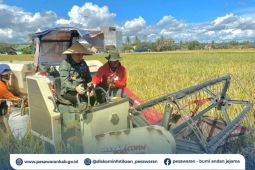 Pemkab Pesawaran dukung produktivitas petani dengan pengairan dan distribusi serapan gabah