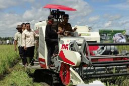 Lampung Tengah menjadi pusat panen raya padi serentak 14 provinsi di Indonesia