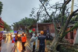 Kantor Koramil dan sejumlah rumah di Jember rusak akibat angin kencang