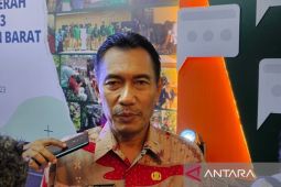 Ekspor Kalbar alami penurunan, sedang impor menguat