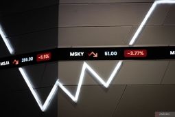 IHSG BEI naik 5,02 persen, analis sarankan beli saham  "undervalued"