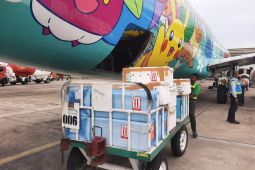 Angkutan kargo di Bandara SIM turun lima persen