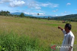 Irigasi tak berfungsi, petani di Tapanuli Selatan terancam gagal tanam,