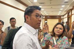 Wamentan pastikan penghapusan kuota impor tak rugikan industri lokal