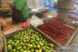 Pasca lebaran Idul Fitri harga sembako kembali normal
