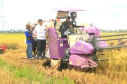 Agriculture Ministry assists Tanah Laut's 83 food brigades with alsintan