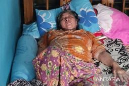 Chikungunya serang 43 warga Cianjur