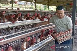 Disnak Aceh rekrut puluhan kader muda peternakan