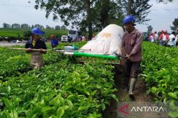 Bupati Simalungun usul PTPN IV buka gerai teh di Bandara Kualanamu