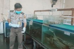 Balai Karantina gelar layanan prima ratusan produk unggul Kalbar