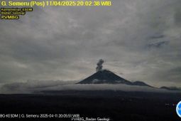 Jumat malam, Gunung Semeru erupsi dengan tinggi letusan 800 meter di atas puncak