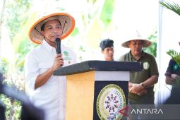 Menhut:  Potensi kawasan hutan melalui pemanfaatan berkelanjutan
