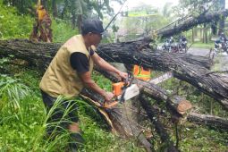 BPBD catat Malang dilanda 164 bencana alam hingga April