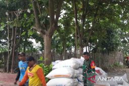 Kodim 0509/Kabupaten Bekasi dampingi panen padi di Desa Waluya