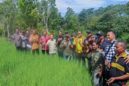 Gubernur NTT : Ngada punya potensi menjadi daerah swasembada pangan