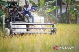 Pemkot Madiun alokasikan Rp1,5 miliar untuk bantuan pupuk gratis