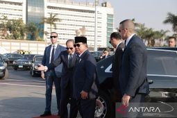 Mesir, Kuwait tekankan perlunya gencatan senjata segera di Gaza