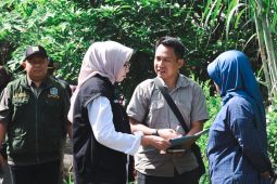 Pemkab Lumajang bangun jalan beton 1,4 km di Desa Kalisemut