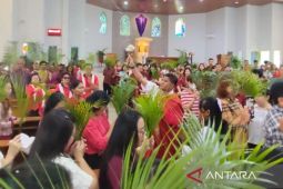 Misa Minggu Palma di gereja Regina Pacis Tanjungpandan berlangsung khidmat
