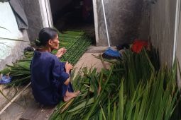 Perajin atap rumbia di Lebak kewalahan layani pesanan