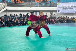 Pemkab Bogor gelar Festival Pencak Silat 2025 pada 14-16 April