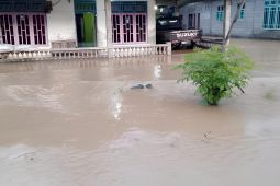 Dua desa di Parigi Moutong terendam banjir