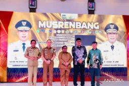 Wamendagri: Pembangunan Sultra harus selaras dengan RPJMN Asta cita Presiden