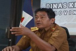 DKP Sulbar dan mitra bahas regulasi pelestarian terumbu karang di tingkat desa