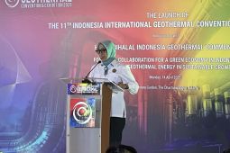 Flores diusulkan jadi Pulau Panas Bumi