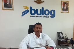 Bulog: Stok beras di Maluku cukup hingga empat bulan ke depan