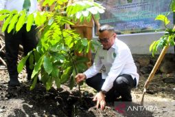 Kemenag Minahasa Tenggara tanam pohon sambut Hari Bumi Nasional