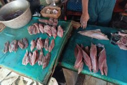 Dempo ikan asin di Bone jadi potensi ekonomi warga pesisir