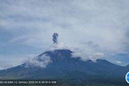 Semeru tercatat erupsi tujuh kali dengan tinggi letusan hingga 1.000 meter