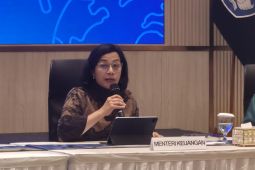 Menkeu rinci besaran tukin dosen