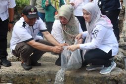 85 ribu benih ikan ditebar di sungai Kalijaga di wilayah Benda Kerep Cirebon jaga ekosistem