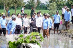 Hingga April 2025, Pemkab Lamongan catat LTT capai 54,4 ribu hektare