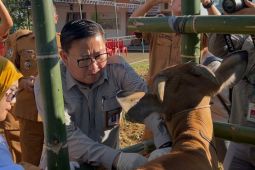 Kementan gandeng Bone Sulsel bangun ekosistem peternakan kawasan timur