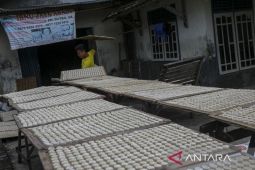 Realisasi KUR triwulan I 2025