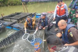 Lanal Sangatta manfaatkan telaga pasca tambang dalam budidaya ikan air tawar