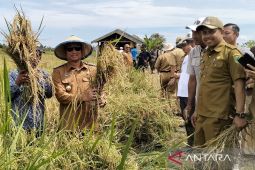 Bupati Sukamara berkomitmen terus kembangkan pertanian